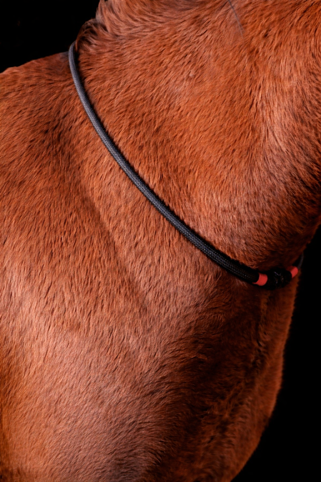 Cordelette Classique